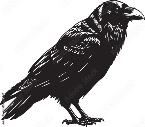 "Raven Crow Vector Set – Vintage Gothic Bird Illustrations, Dark Forest Clipart, Mysterious Black Birds Art for Tattoos, Halloween & Designs"