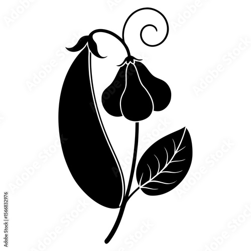 Sweet Pea  flower vector with a clean white background, perfect for digital, print, and graphic design projects.

