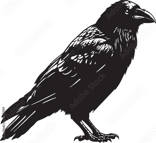 "Raven Crow Vector Set – Vintage Gothic Bird Illustrations, Dark Forest Clipart, Mysterious Black Birds Art for Tattoos, Halloween & Designs"