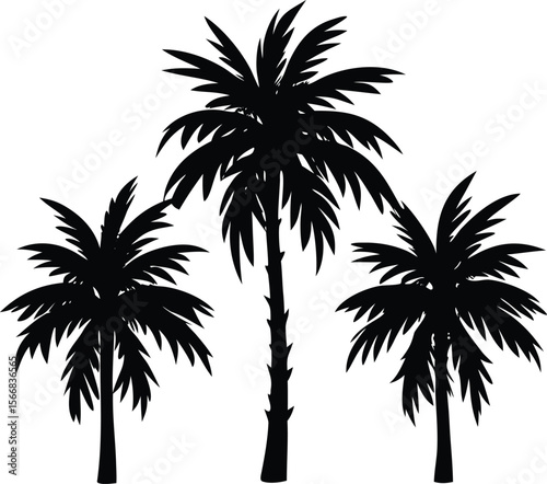 Three silhouetted palm trees standing tall against a white background illustrating a tropical paradise scene