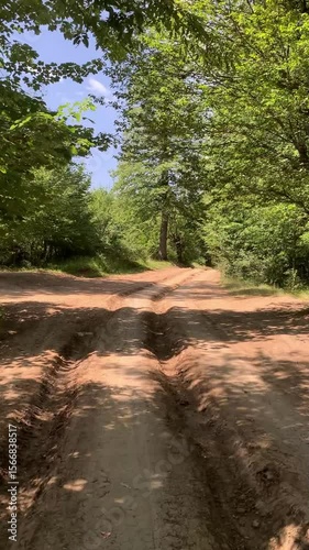 road in the forest