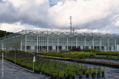 Modern Greenhouse with Extensive Plant Cultivation