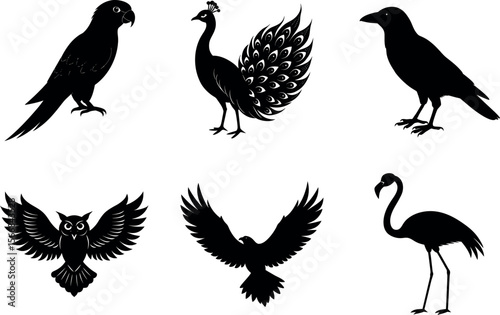 Collection of various bird species silhouette vector illustration