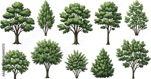 Diverse collection of green trees and various bush illustrations, ideal for landscape design, architectural plans, environmental projects, and natural parkland scenery elements.