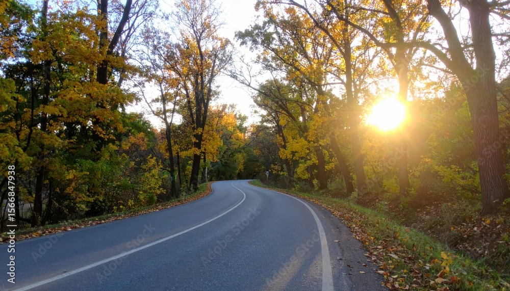 Fototapeta premium Winding road through colorful trees with bright sunlight