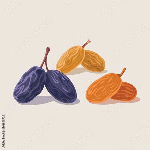Three types of dried grapes raisins on a light background in a flat illustration style