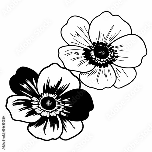 Vector illustration of a vintage floral bouquet, a line vector, an ink sketch with anemones and other flowers, a hand-drawn black and white vector on a white background.
