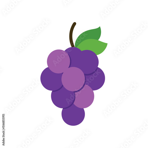 Vector of Grapes Bunch with Single Leaf Sketch
