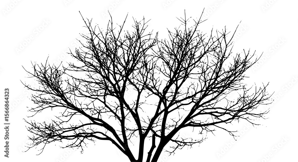 Fototapeta premium Bare Tree Silhouette Against Bright White Sky Backdrop