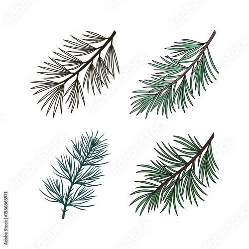 Set of Four Hand Drawn Pine Branches Isolated on White Background
