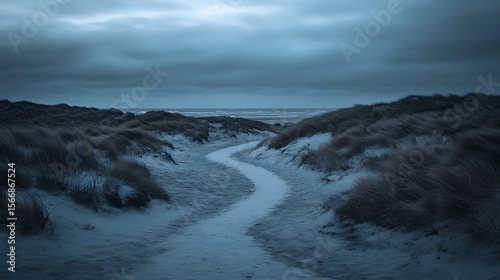 Sandy Path Leading to Ocean Under Dark Clouds