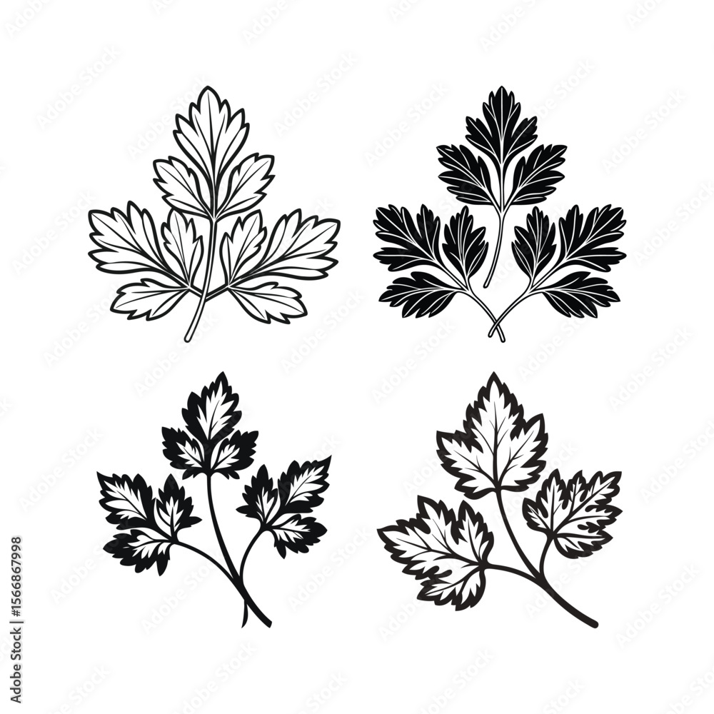 Fototapeta premium Parsley Herb Silhouette Set for Culinary and Botanical Illustrations