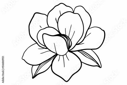 Gardenia flower outline bloom blossom