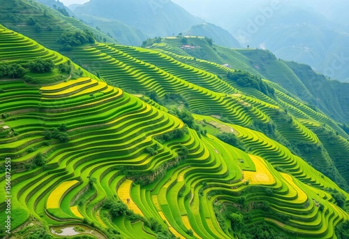 Emerald green rice terraces cascading down Mu Cang Chai mountains,  rural,  breathtaking