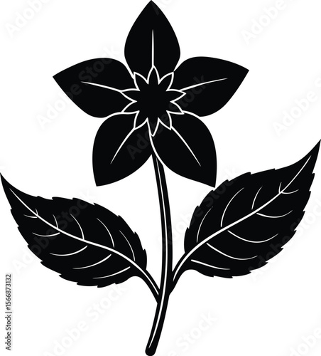 Borage flower with leaf silhouette illustration 