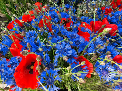 Large bouquet of summer wild flowers of cornflowers, poppies and rye ears close-up