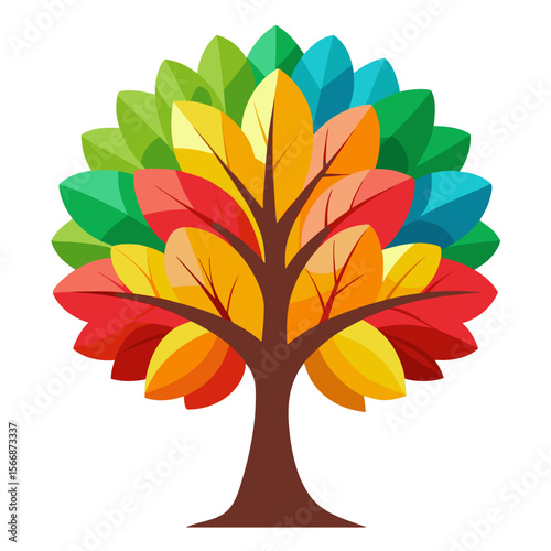 Beech tree vector