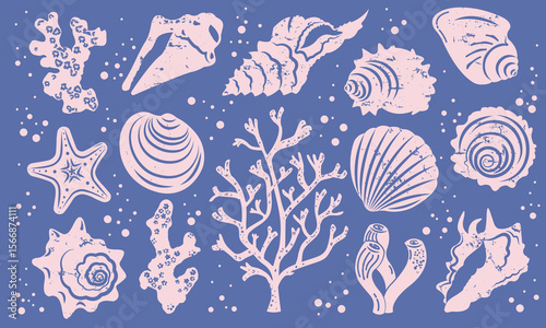 Shell and coral illustration set. Abstract drawing, silhouette, vintage texture.