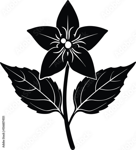 Borage flower with leaf silhouette illustration 
