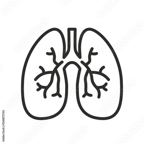 Lungs icon. Linear vector illustration. Healthy human lung. Simple symbols.
