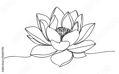 lotus flower one continuous line drawing vector illustration