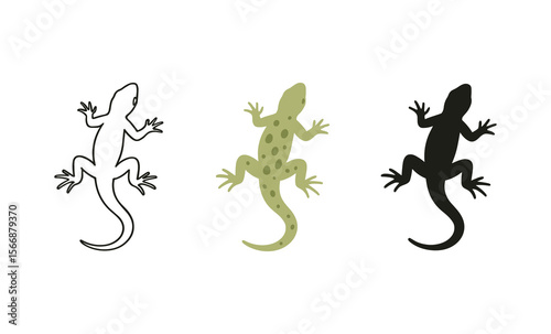 Colorful geckos silhouette and outline set for nature designs