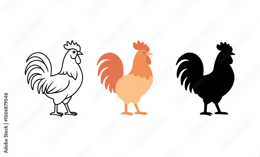 Fototapeta premium Artistic rooster evolution: outline, color, silhouette in vector style