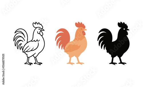 Three rooster designs: outline, color, and silhouette on white background