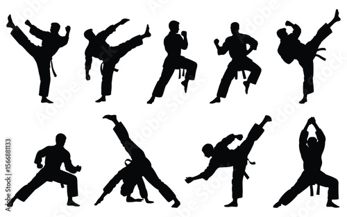 Martial Arts Silhouette Set – Dynamic Combat Poses and Self-Defense Movements