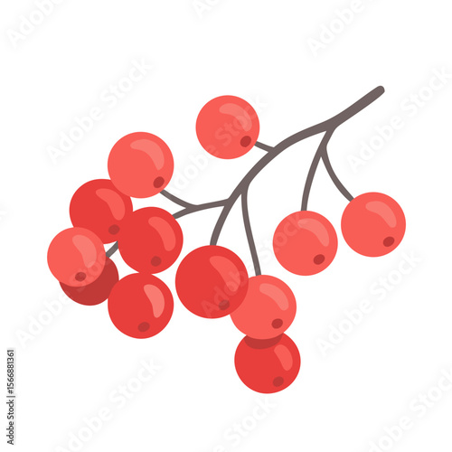 Vector icon of a branch of red mountain ash with berries, symbolizing nature, autumn, and berries. Isolated on a transparent background