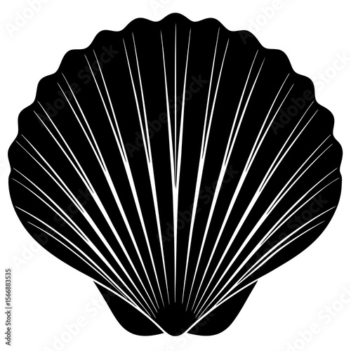 A black seashell isolated on white background