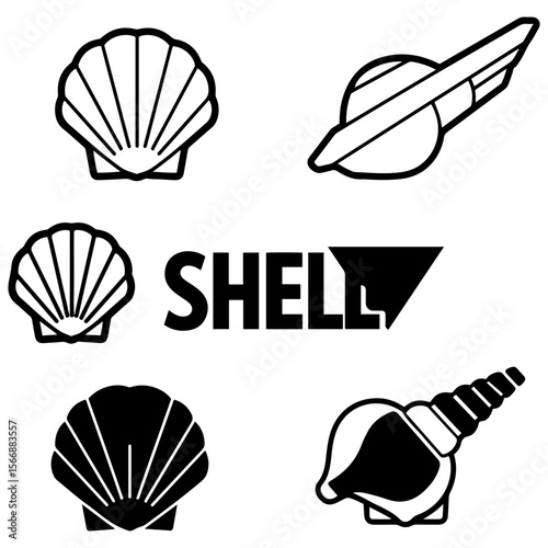 A beautiful assortment of minimalist line art shells, perfect for sophisticated and understated design work