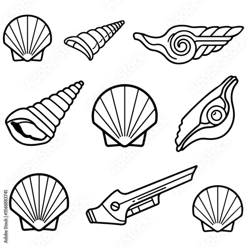 A wonderful visual guide to common seashell types, presented in a clean and clear vector illustration style