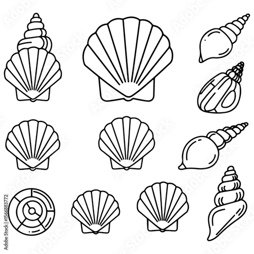 A clean and accurate assortment of conchology icons, showcasing the diversity of different shell families