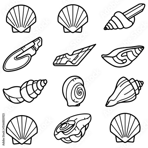 A designer's toolkit featuring a huge variety of shell illustrations in both solid silhouette and detailed line art versions