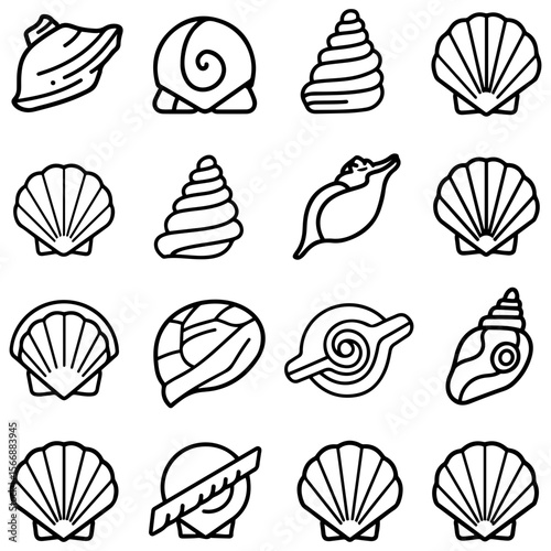 A comprehensive graphic collection of shell designs, with multiple variations including conch, scallop, and turret shells