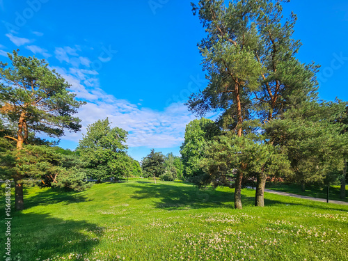 Panorama of a pine park with green trimmed lawns on a sunny day in Riga, Latvia. Clean environment concept.	