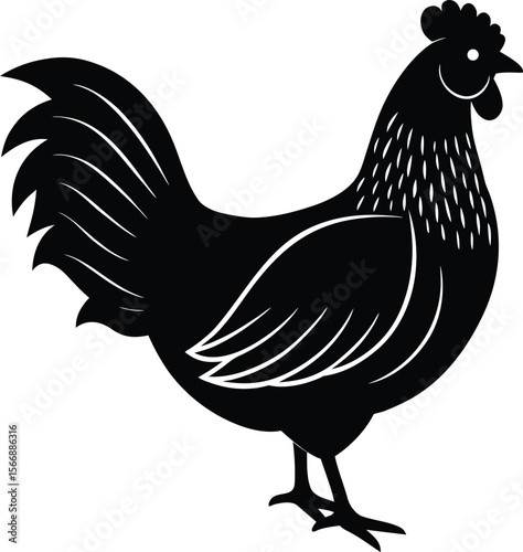 chicken on white background.eps