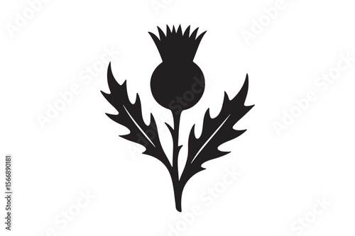scottish thistle silhouette vector art illustration on white background