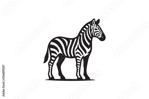 Zebra vector on white background.01