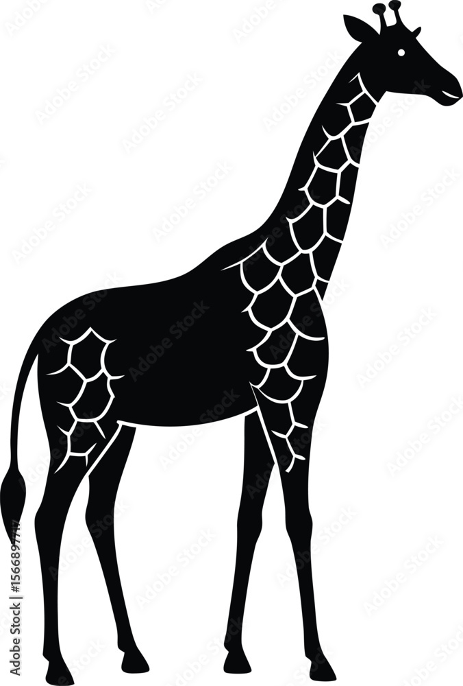 Obraz premium giraffe on white background.eps