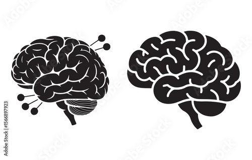 Black brain diagrams with connecting spheres anatomy medical