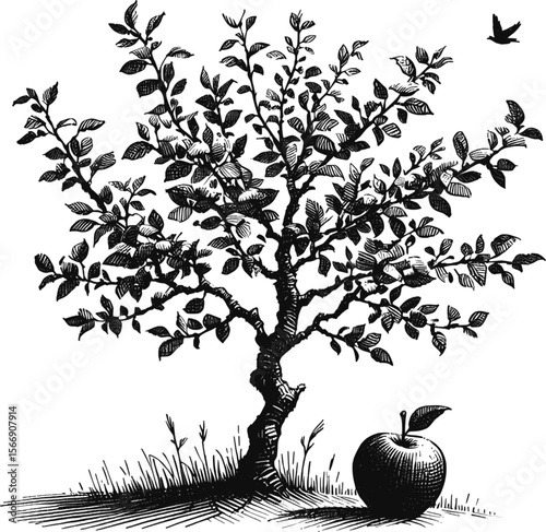 From Blossom to Fruit: The Life of an Apple Tree vintage linework ink sketch hand drawn pen drawing plant vector illustration background