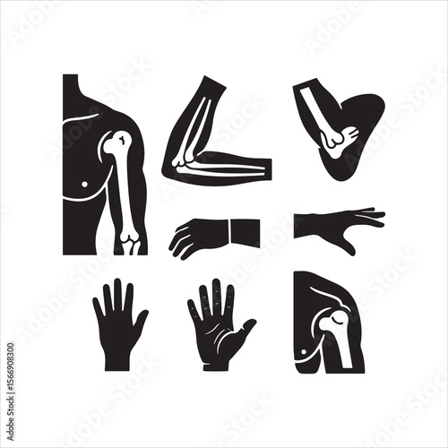 Human anatomy icons depicting skeletal structures of the arm and hand