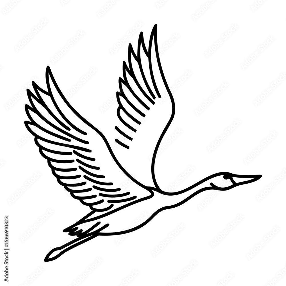 Fototapeta premium Black line art illustration of a flying bird with outstretched wings