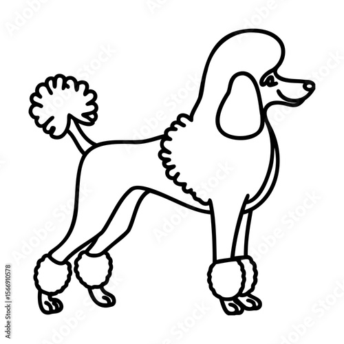 Black and white line art illustration of a poodle dog in profile