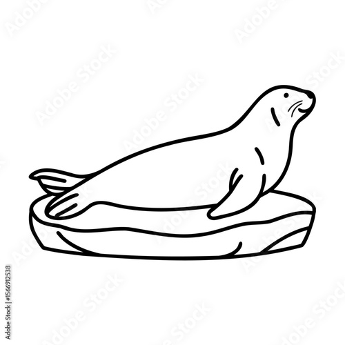 Black and white seal illustration on ice floe vector graphic