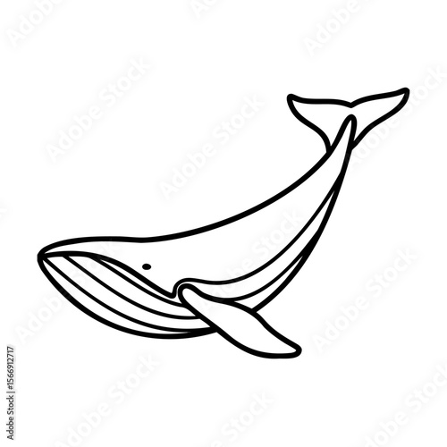 Black and White Whale Illustration on White Background