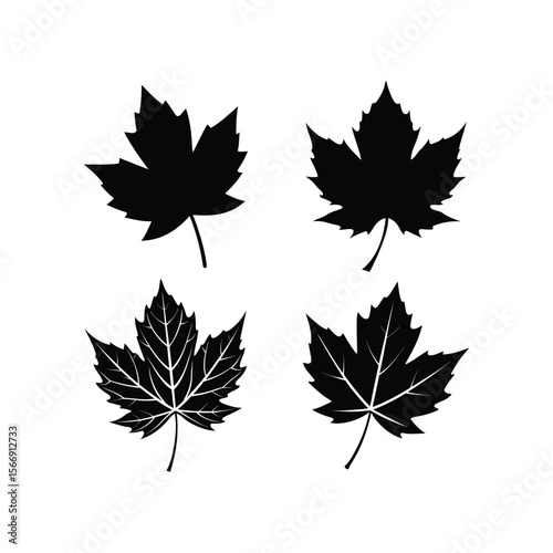 A set of sycamore leaf silhouette vector art illustration