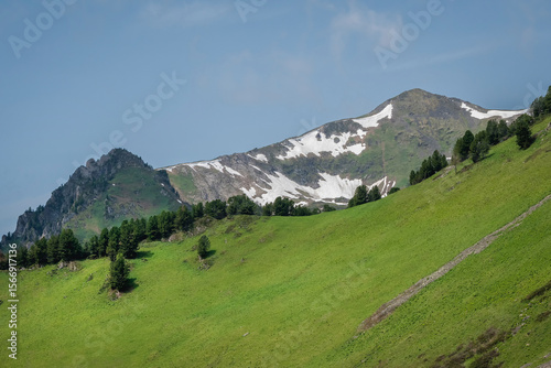 Obraz na plátně landscape with sunlit diagonal green mountainside